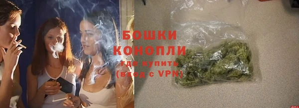 крисы Верхний Тагил