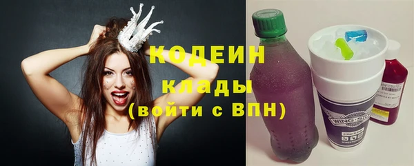 крисы Верхний Тагил