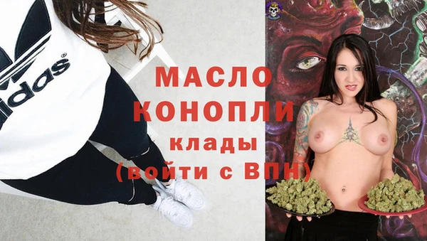 крисы Верхний Тагил