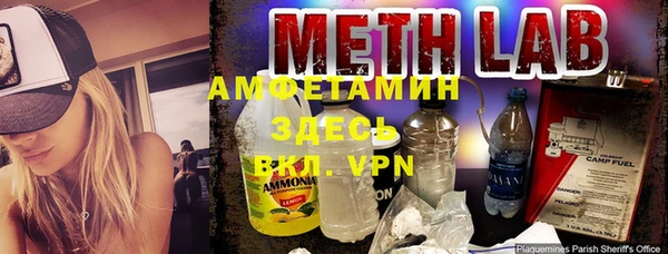 крисы Верхний Тагил