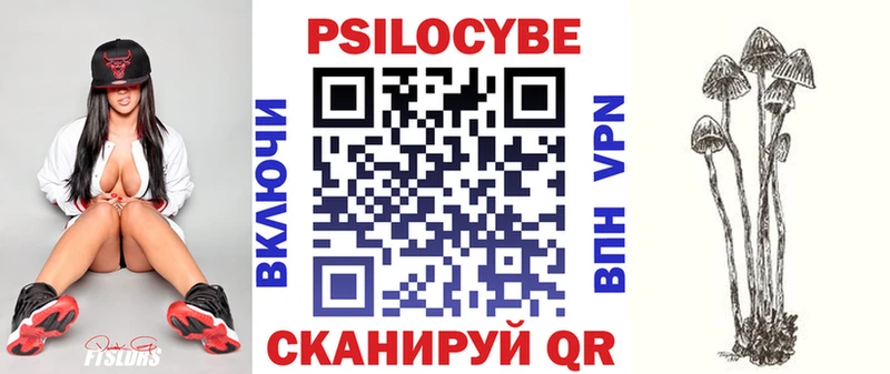 где купить   Альметьевск  Псилоцибиновые грибы мухоморы 